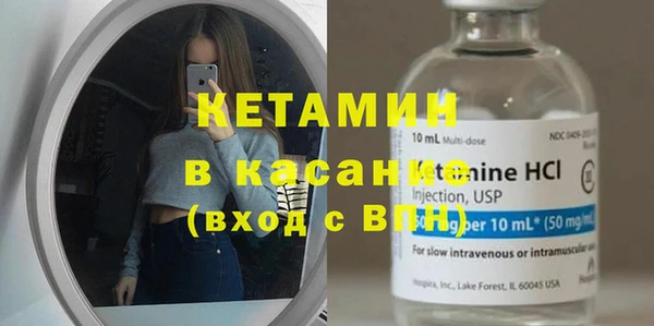 сатива Вязьма