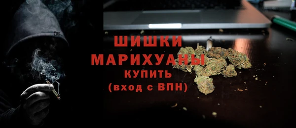 сатива Вязьма