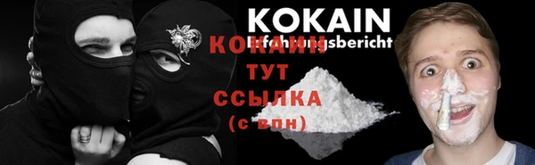сатива Вязьма