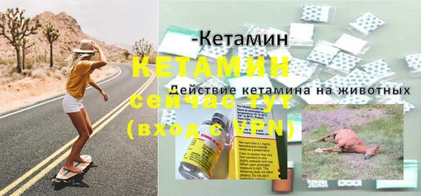 сатива Вязьма