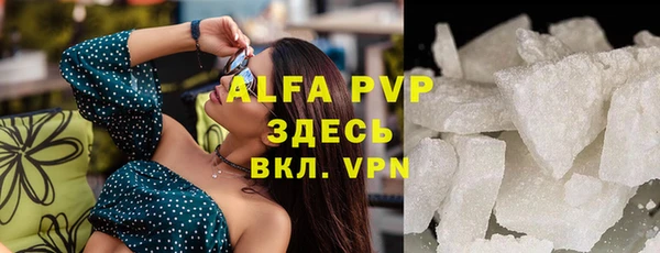 сатива Вязьма